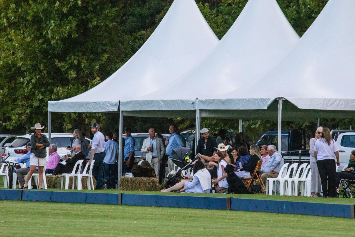 Ashton Polo pony Sale1 2