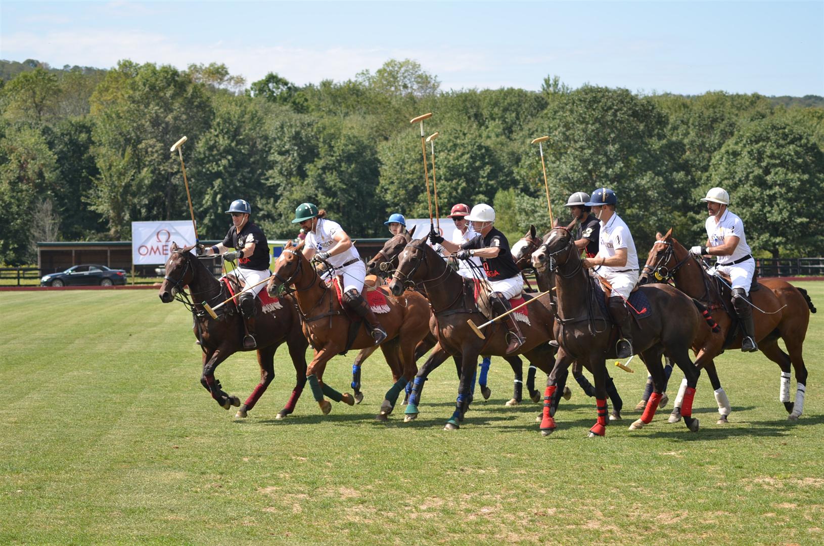 Allied Forces Polo